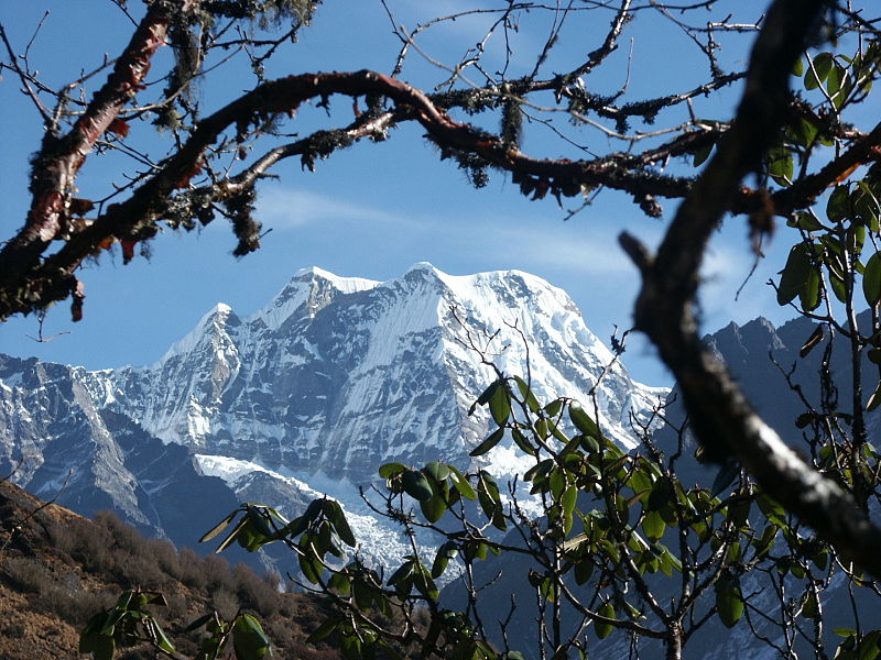 “Constable establishes Himalayan trekking business with sherpa”